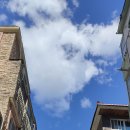 대호편의점 이미지