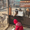 인천대공원(남문) Daum카페