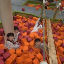 바른 태권도장 이미지