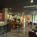 해바라기 애견 이미지