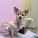 머뭉공간 이미지