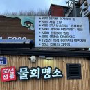 부흥횟집 | 동해맛집 묵호항 백반기행 회맛집 물회맛집 가성비 부흥횟집 내돈내산 솔직후기