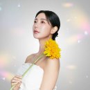 달리아에스테틱 이미지