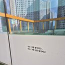 천안애견미용 코코그루밍에서 편하게 미용 맡긴 후기