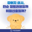 예동물병원 네이버블로그