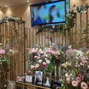 라비에벨 이미지