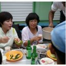 김삿갓면-43 Daum카페