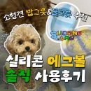 코리아 퍼피 | 소형견 말티푸 퍼피 밥그릇 실리콘연구소 실리킹 에그볼 재구매한 이유?열탕소독 방법까지
