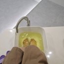 수앤수안마원 | 울산 남구 신정동 마사지] 국가공인 '수앤수안마원' 안마센터 방문 후기 - 성장마사지지, 산모마사지...