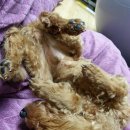 지산동물병원 이미지