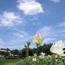 주천중학교 이미지