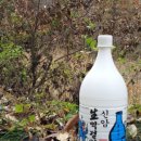 신암초등 이미지