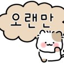 글씨쓰고가게 이미지