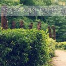 박달재 이미지