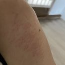 구례보석사우나 이미지