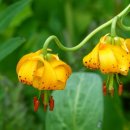 감곡초등학교병설유치원 이미지