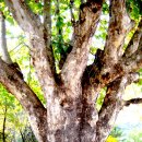 구성초등학교 이미지