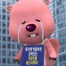 루스살롱 | [결혼] 스튜디오 촬영 헤어변형 연둣빛살롱 예약 후기