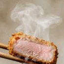 가츠시 티스토리