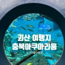 충북 | 괴산 가볼만한 곳 괴산당일치기코스 아이와 갈만한 곳, 충북아쿠아리움 방문 후기