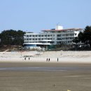 대광해수욕장 이미지