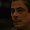 Stay Lazy Morning 이미지