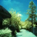 외암마을 이미지