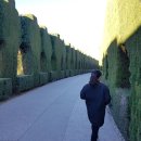 궁전이불 이미지