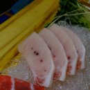 대박참치 Daum카페