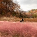 GIANT&PLAY ZONE | 포천 아이랑 가볼만한 곳, 핑크뮬리 명소 평강랜드