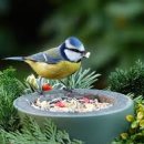 신길휴먼시아3단지 이미지