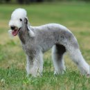 심성 농장 이미지