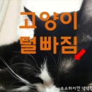 가람동물병원 이미지