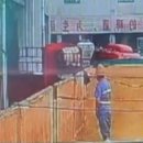 연일먹거리 이미지