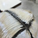 컬러리프 | 홍대 봄맞이 컬러 체인지 | 코토리 베이지 리프컷 후기 (카이정헤어 마포서교점 보경디자이너)