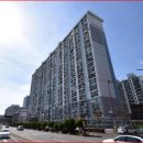 산호동333 이미지