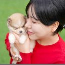 서구건강생활지원센터 본관앞 | 인천강아지분양 든든한 만남