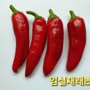 토종고추 임실재래초 12명마감 이미지