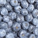 하성농장 이미지