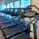 데이 휘트니스 이미지