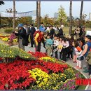 남구-23 이미지