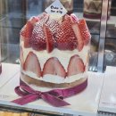 케익인더씨티 | 케이크 맛집 추천 인생딸기케이크 크림도 하나도 안 물리는 케익인더씨티 프리미엄 딸기 2단 케이크...