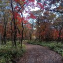 판상농장 이미지