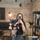 쓰담쓰담반려동물공예 | 강아지 동반 촬영 가능한 건대사진관 토담쓰담스튜디오 건대점 찐 만족후기