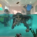 피코 키즈풀빌라 부산 이미지