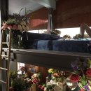 무드인디고 이미지