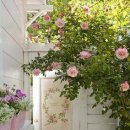 뿌리광장 이미지