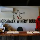 멜버른 승마 이미지