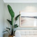 나만의 플랜테리어 이미지