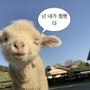 스테이위드미 이미지